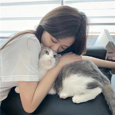 热血废柴中介第三季